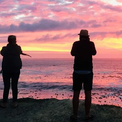 Cape Town Peninsula Day Tour ( Cape Point/Penguins/Wine Tasting)