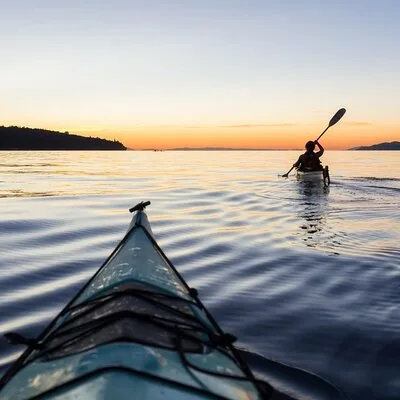 Kayak with penguins and Hike Cape of Good Hope